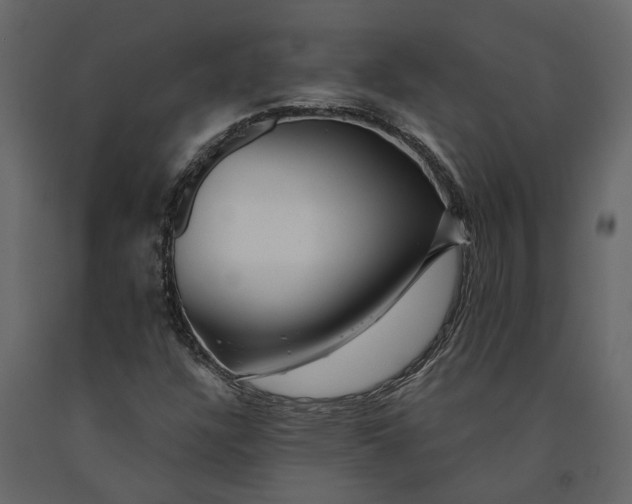 X0000091091304200708271248