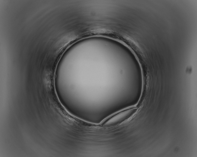 X0000091091305200708271248