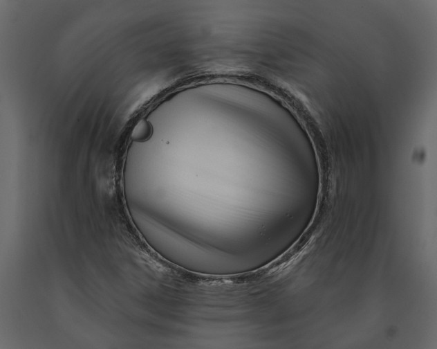 X0000091091306200708271248