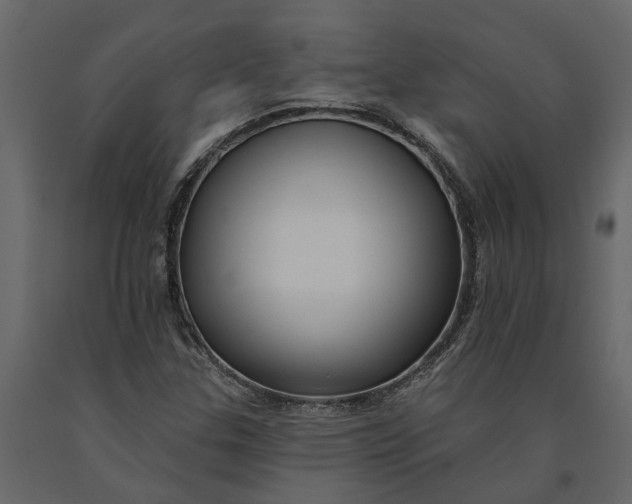 X0000091091307200708271248