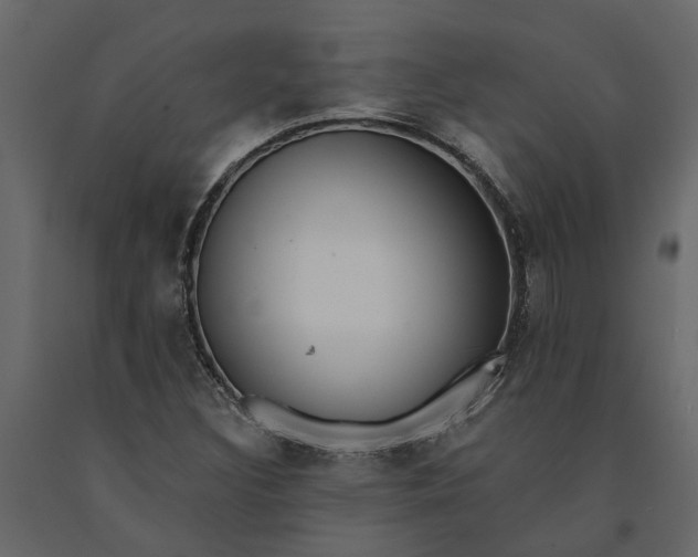 X0000091091308200708271248