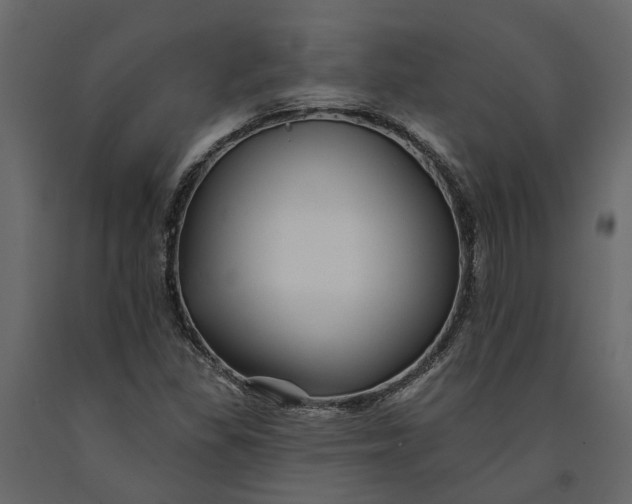 X0000091091309200708271248