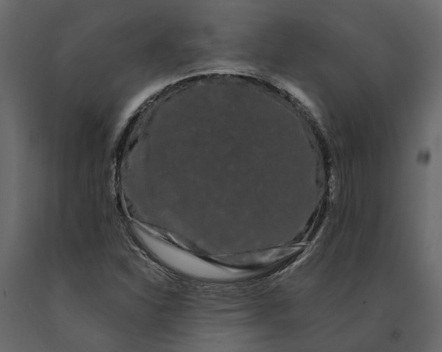 X0000091091310200708271248