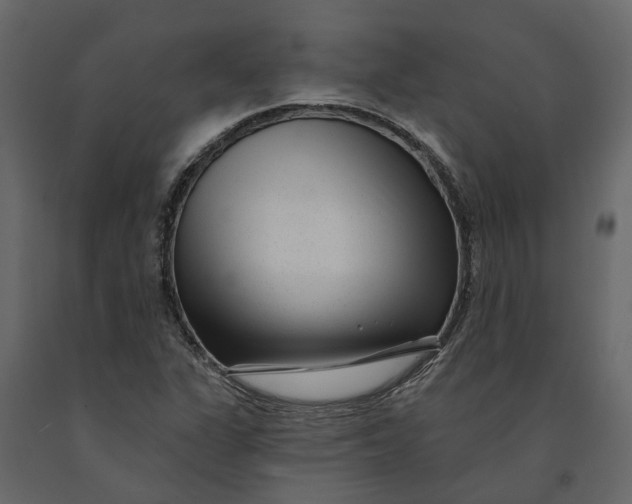 X0000091091311200708271248