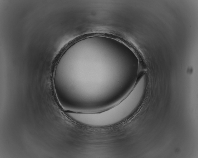 X0000091091312200708271248