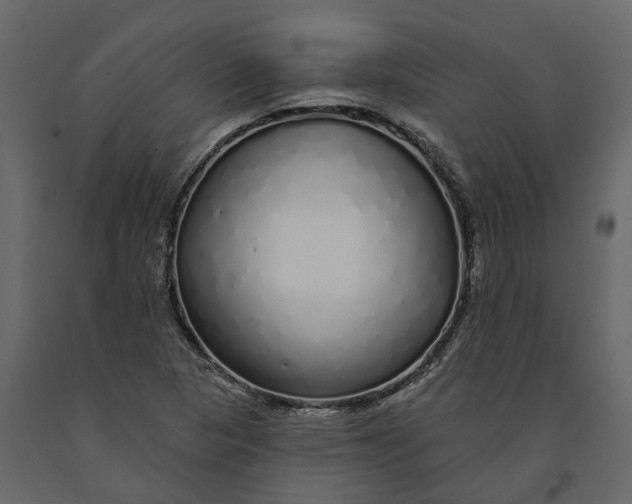 X0000091091313200708271248