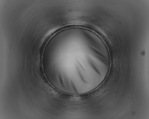 X0000091091315200708271248