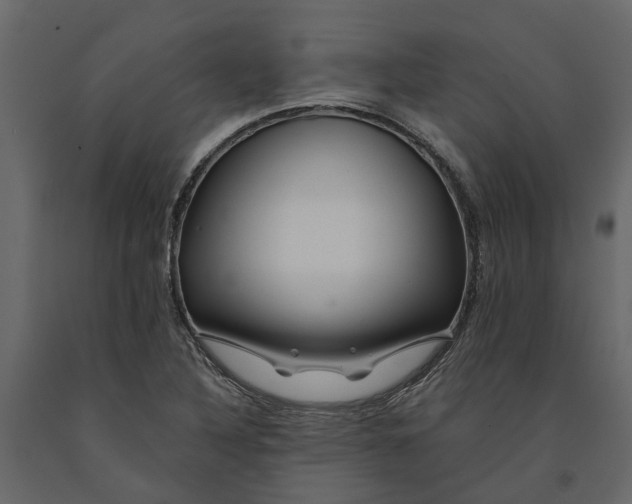 X0000091091316200708271248