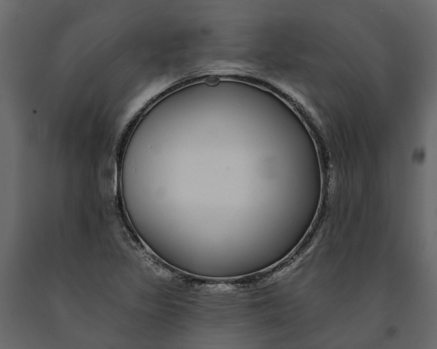 X0000091091317200708271248