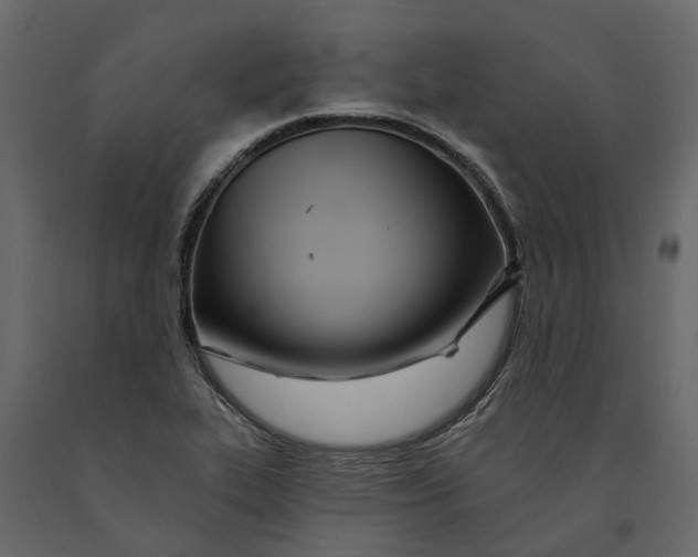 X0000091091319200708271248