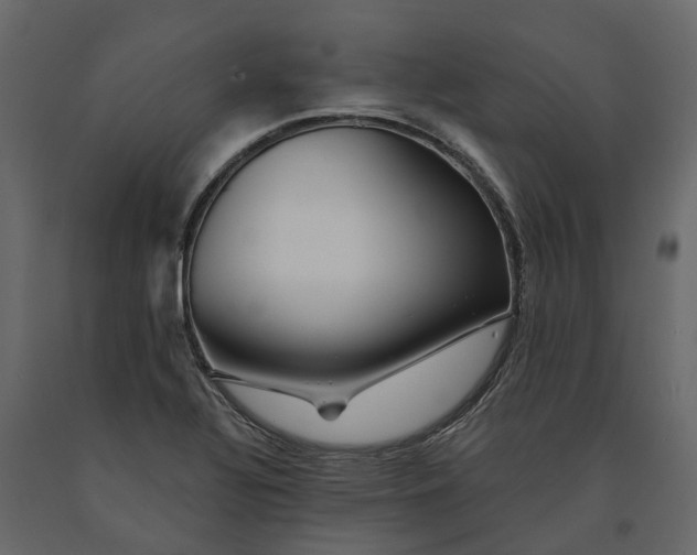 X0000091091320200708271248