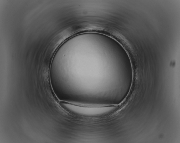 X0000091091321200708271248