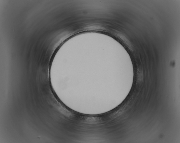 X0000091091322200708271248