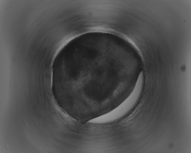 X0000091091323200708271248