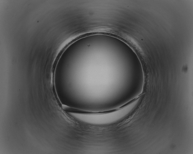 X0000091091324200708271248