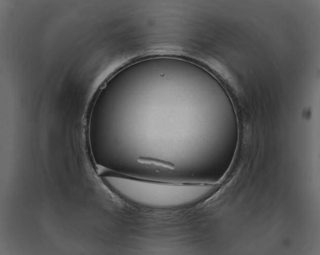 X0000091091325200708271248