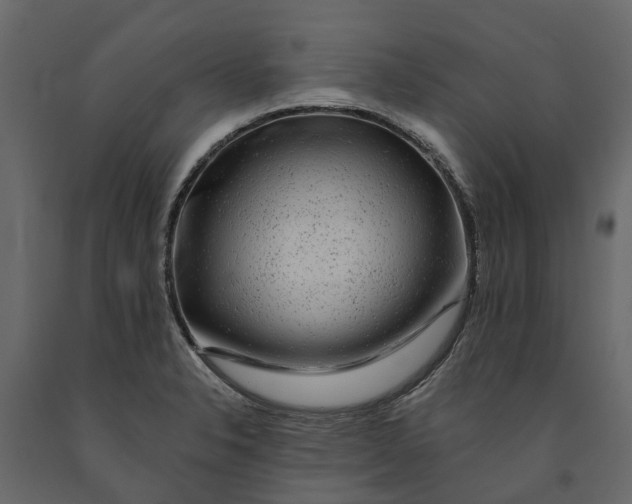 X0000091091326200708271248