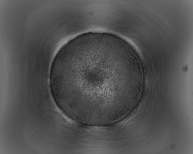 X0000091091327200708271248