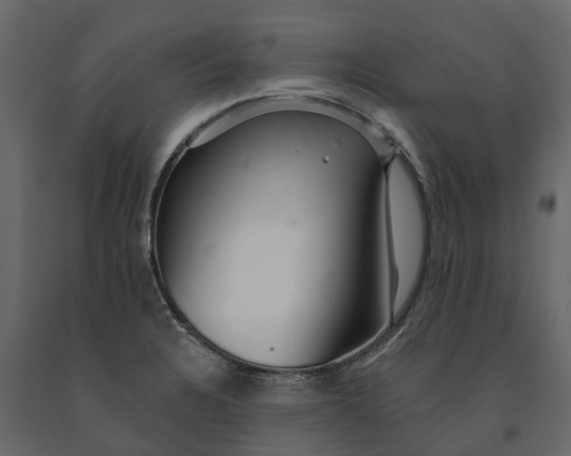 X0000091091328200708271248