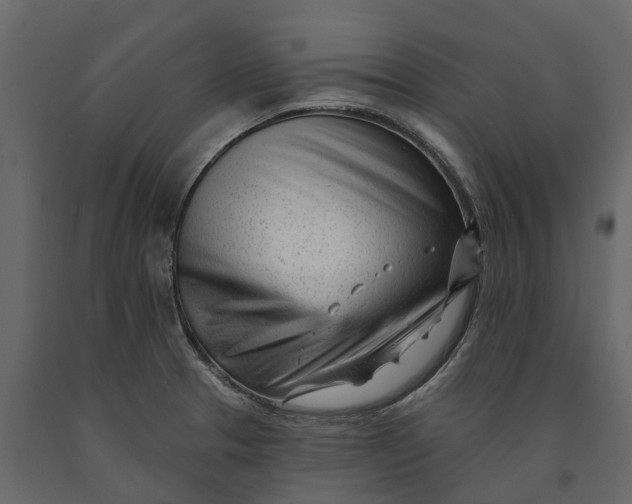 X0000091091329200708271248