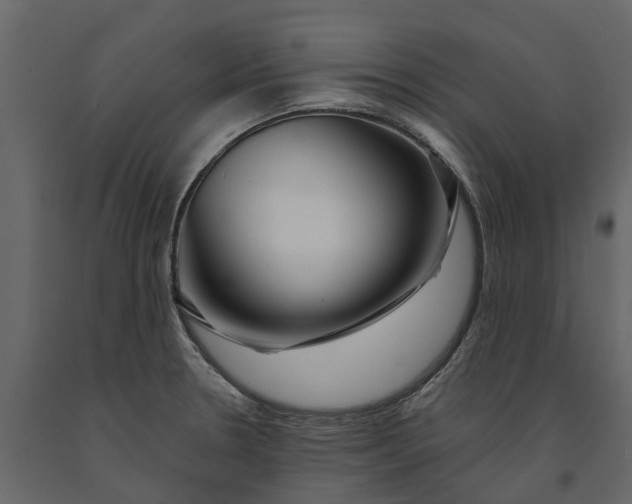 X0000091091330200708271248