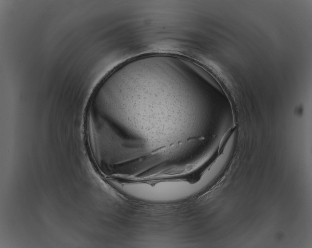 X0000091091331200708271248