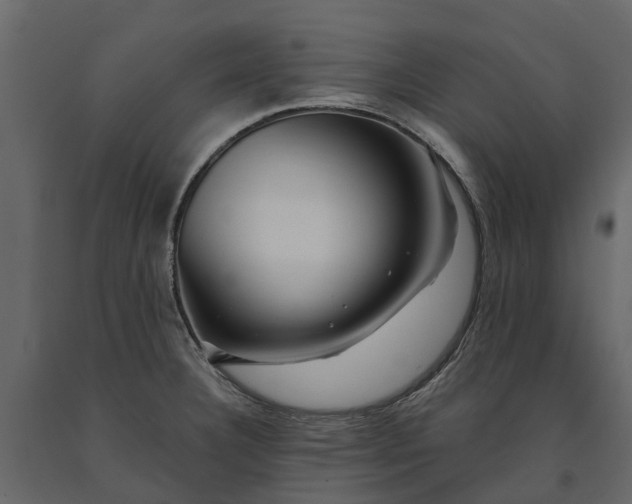 X0000091091332200708271248