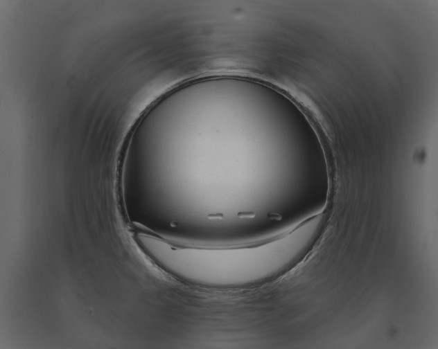 X0000091091333200708271248