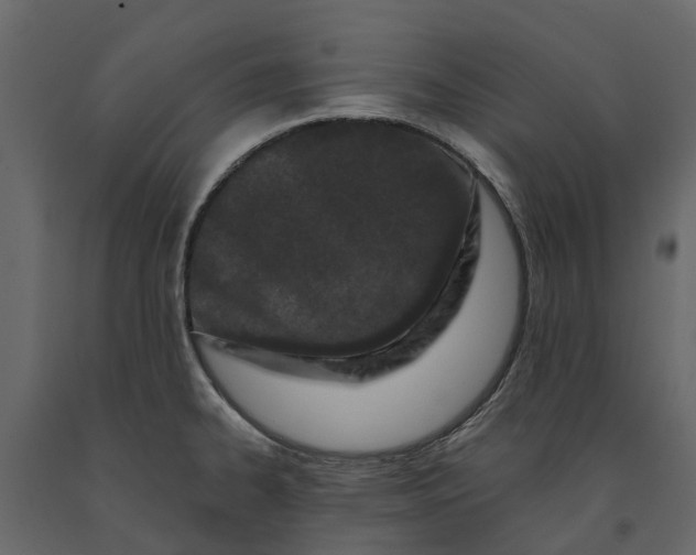 X0000091091334200708271248