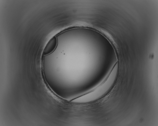 X0000091091335200708271248