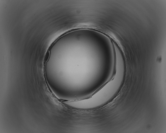 X0000091091336200708271248