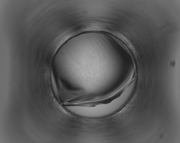 X0000091091337200708271248