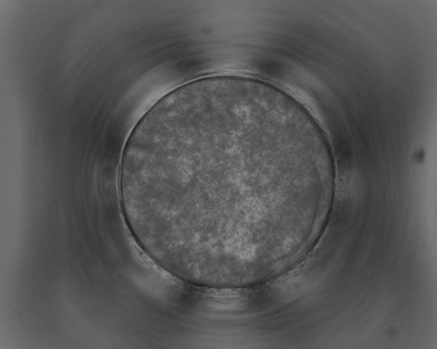 X0000091091338200708271248