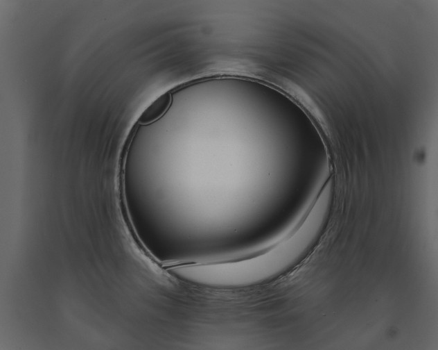 X0000091091339200708271248