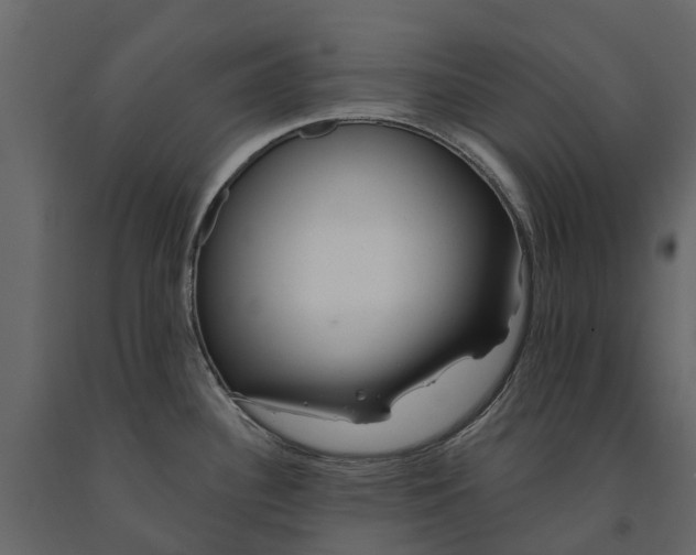 X0000091091340200708271248