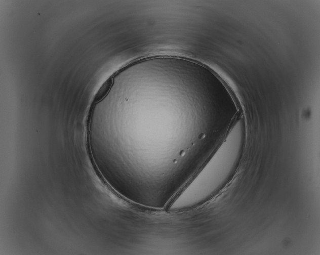 X0000091091341200708271248