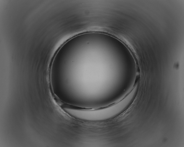 X0000091091342200708271248