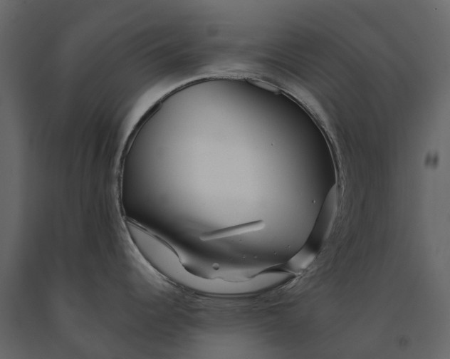 X0000091091344200708271248