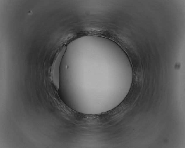 X0000091091346200708271248