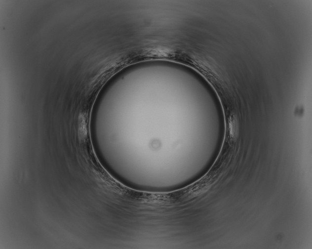 X0000091091347200708271248