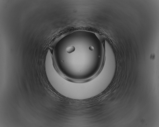 X0000091091348200708271248