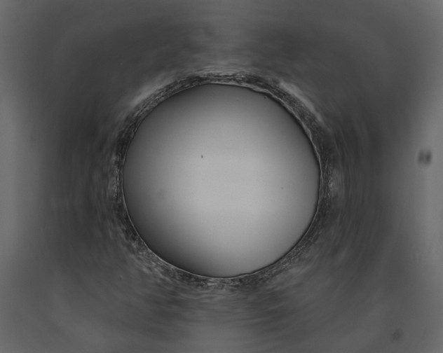 X0000091091350200708271247