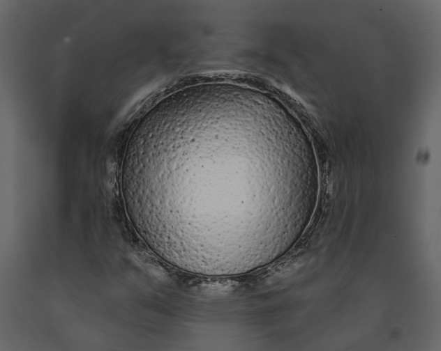 X0000091091351200708271247