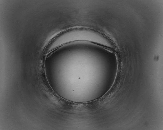 X0000091091352200708271247