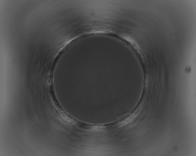 X0000091091353200708271247