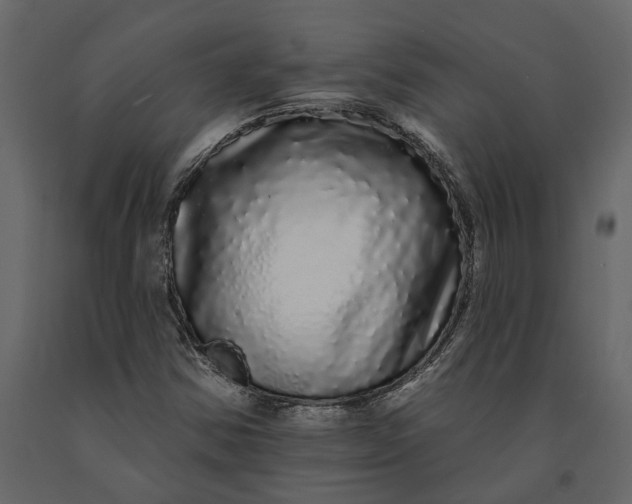 X0000091091354200708271247