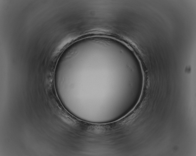 X0000091091355200708271247