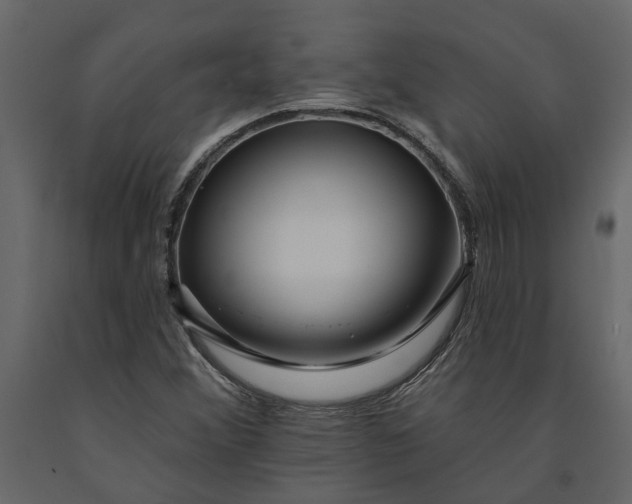 X0000091091356200708271247