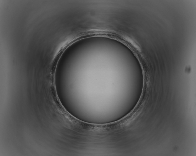 X0000091091357200708271247