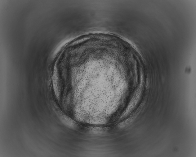 X0000091091359200708271247